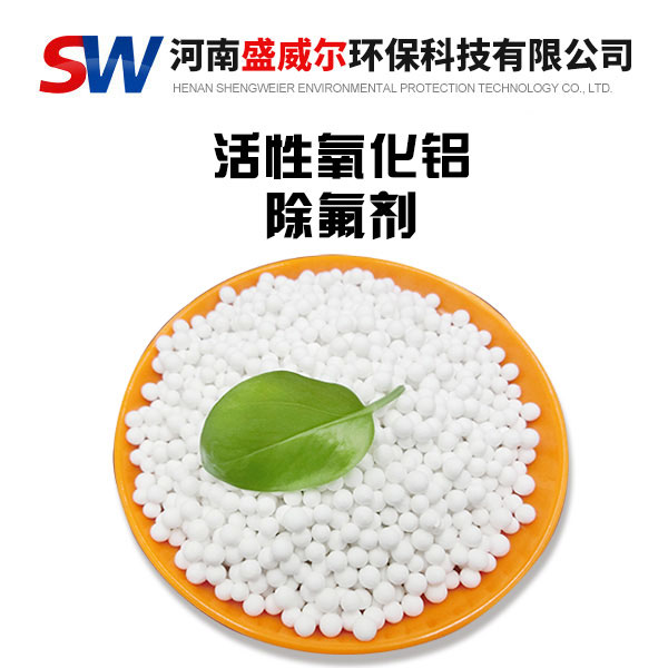 ���������X������